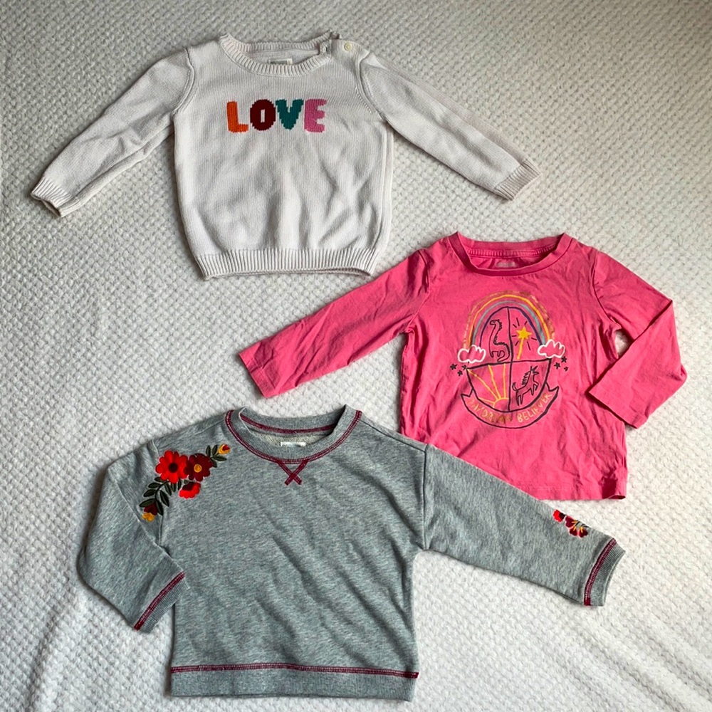 Lot 2T Gymboree pullover long sleeved shirts